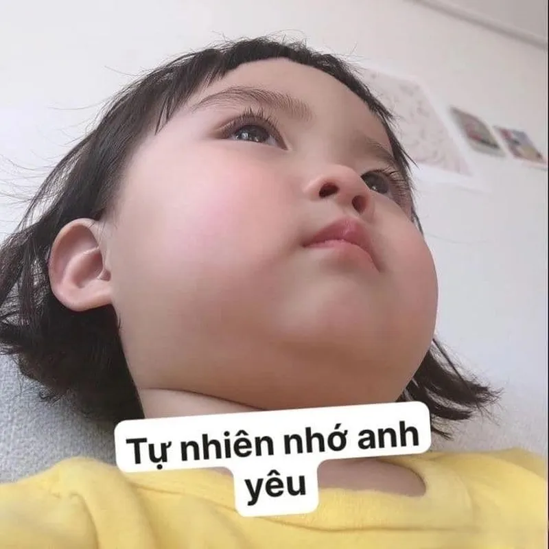 Ảnh meme hài hước luôn là lựa chọn tuyệt vời để khiến bạn cười thả ga!