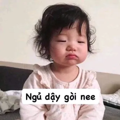 Không cần chữ, meme hài này vẫn đủ sức làm người xem cười ngặt nghẽo