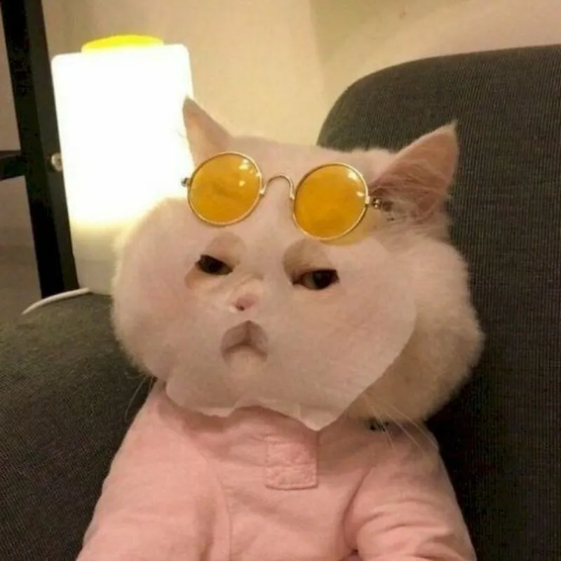 Meme anime hài luôn mang đến những phút giây giải trí thú vị và không thể thiếu.