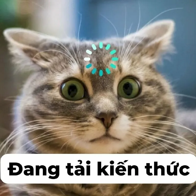 Meme chúc ngủ ngon hài giúp bạn gửi lời chúc ngọt ngào nhưng đầy thú vị tới bạn bè.
