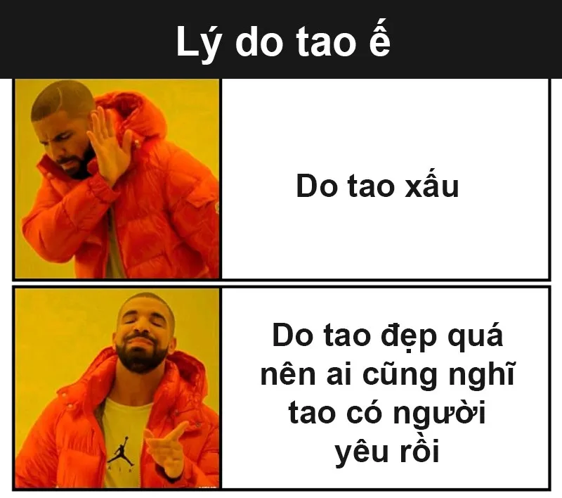 Mèo hài meme với những biểu cảm dễ thương sẽ khiến ngày của bạn thêm phần vui vẻ.