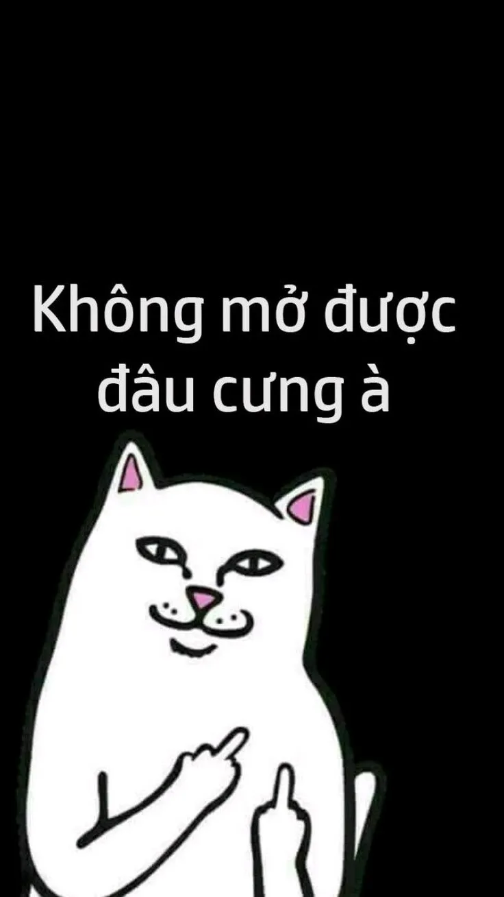 Hãy trang trí laptop với hình nền meme để làm mới không gian làm việc.