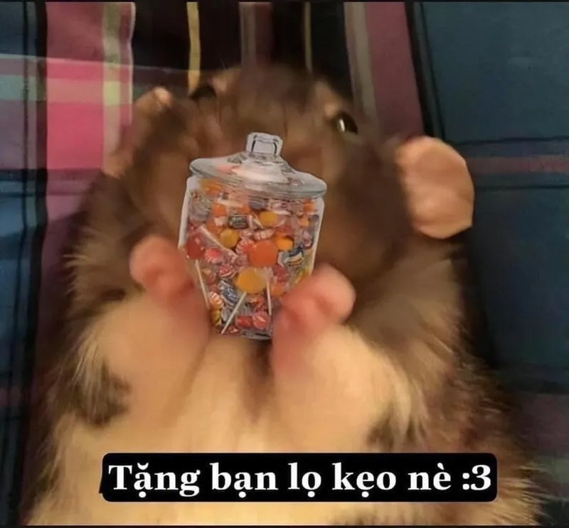 Meme kẹo M&M làm bạn muốn thưởng thức ngay một viên kẹo.