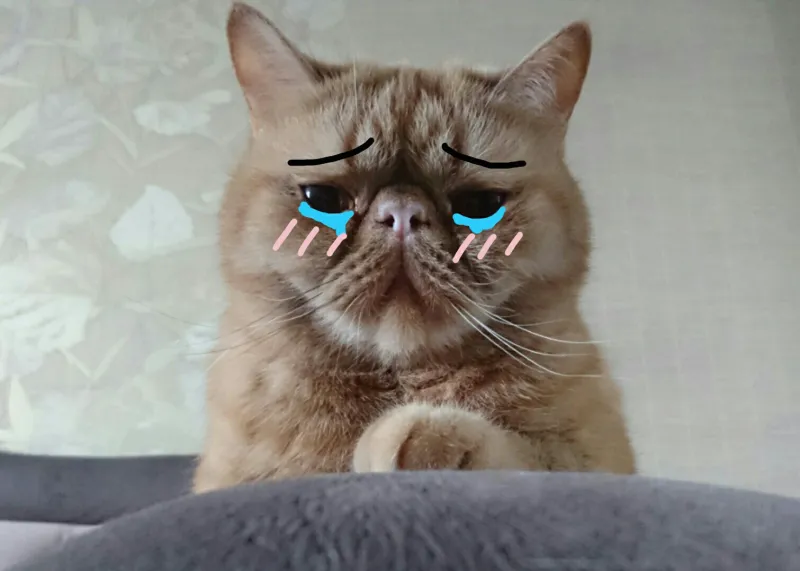 Khoảnh khắc meme em bé khóc khiến bạn vừa thương vừa buồn cười.
