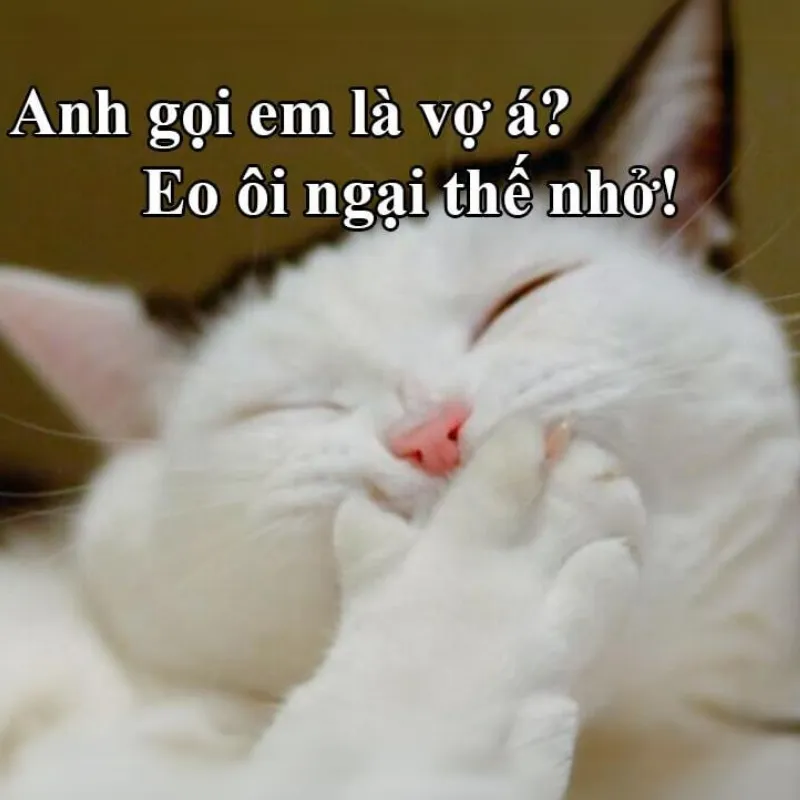 Meme này mang đến một sự ngại ngùng đáng yêu mà bạn không thể bỏ qua.