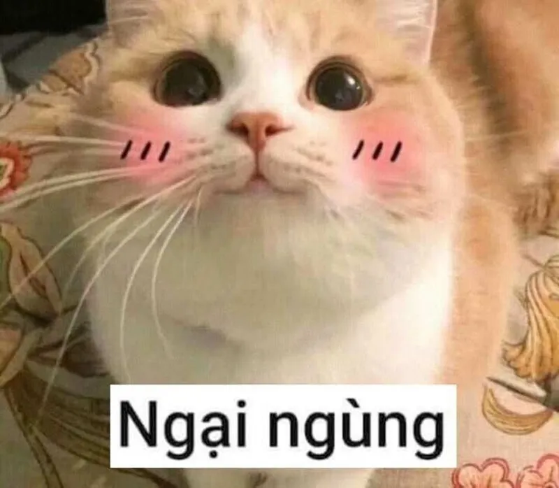 Chúng tôi quan ngại sâu sắc meme khiến bạn phải cười vì cách nói chuyện thú vị.