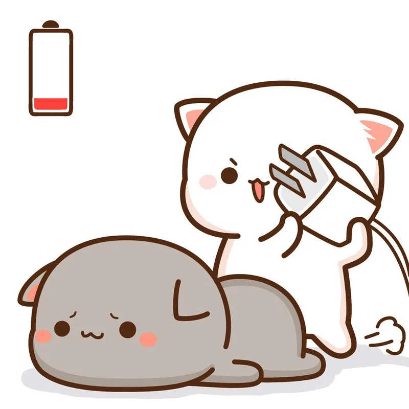 We live we love we lie meme gây sốt mạng xã hội với thông điệp thú vị.