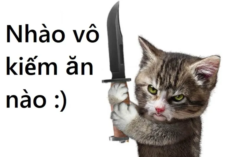 Bông hồng và mèo cầm hoa meme mang thông điệp đầy ngọt ngào, hài hước.