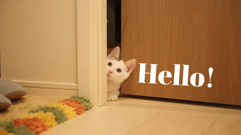 Chào hỏi theo cách độc đáo với ảnh meme cực chất này