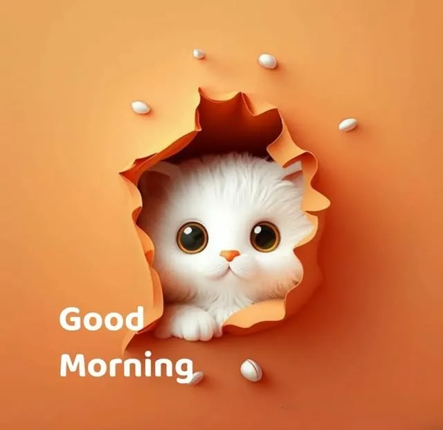 Cùng lan tỏa nụ cười qua ảnh meme chào cực kỳ đáng yêu này