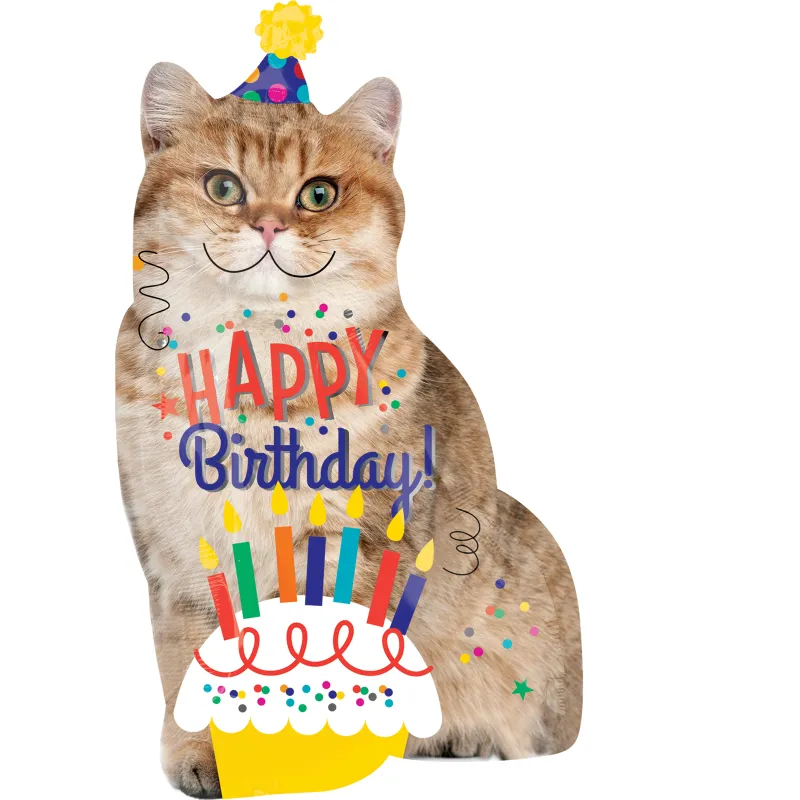 Meme mèo happy birthday là món quà tinh thần dễ thương ngày sinh nhật