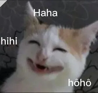 Thả một tấm meme mèo cười đểu ai mà không bật cười cơ chứ
