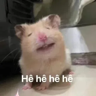 Khoảnh khắc meme mèo cười nhe răng chắc chắn sẽ làm ngày của bạn thêm vui