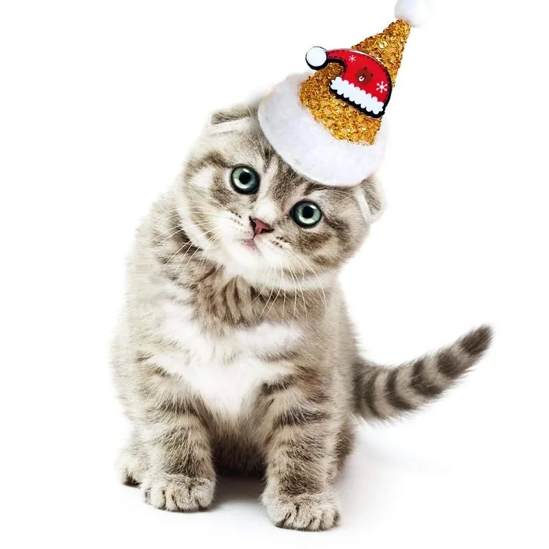 Cây thông Noel meme khiến không khí Giáng Sinh trở nên lung linh và đầy màu sắc.