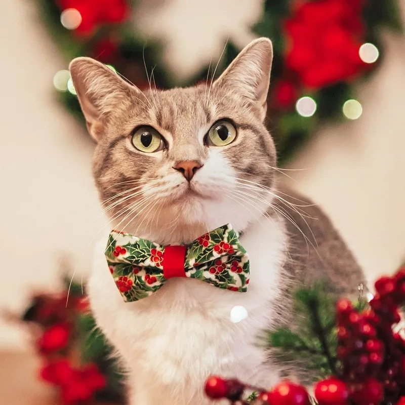 Hình meme Noel thú vị, giúp bạn tạo nên không khí lễ hội cho mọi người xung quanh.