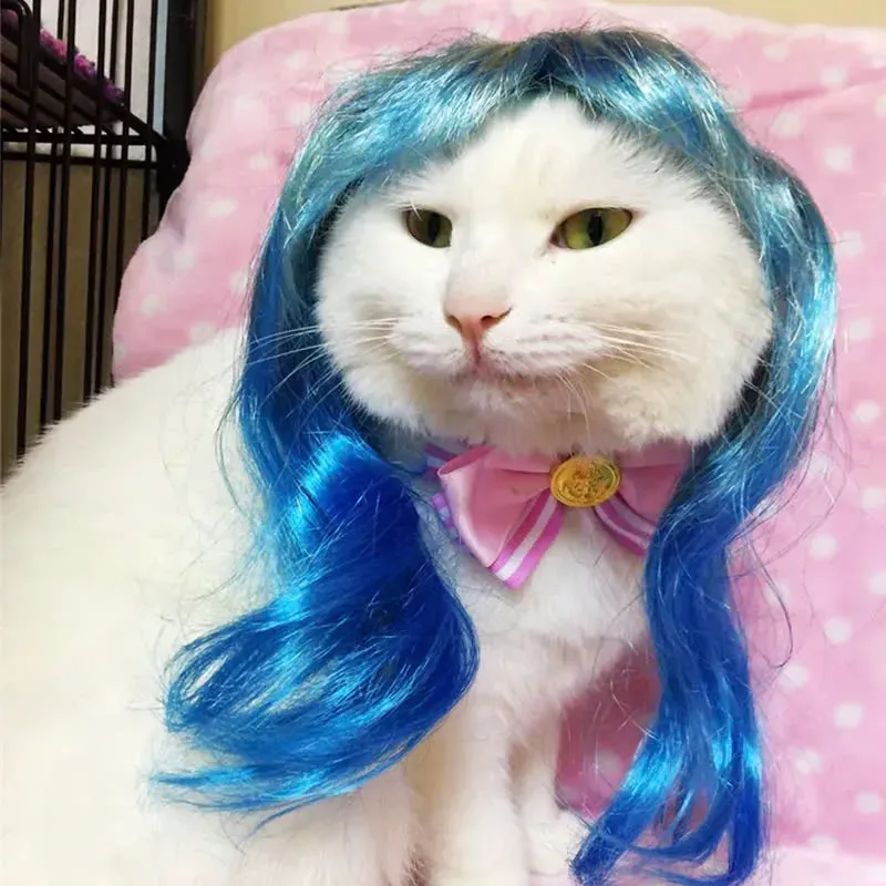 Meme chim trong quần, độc đáo và hài hước đến bất ngờ.
