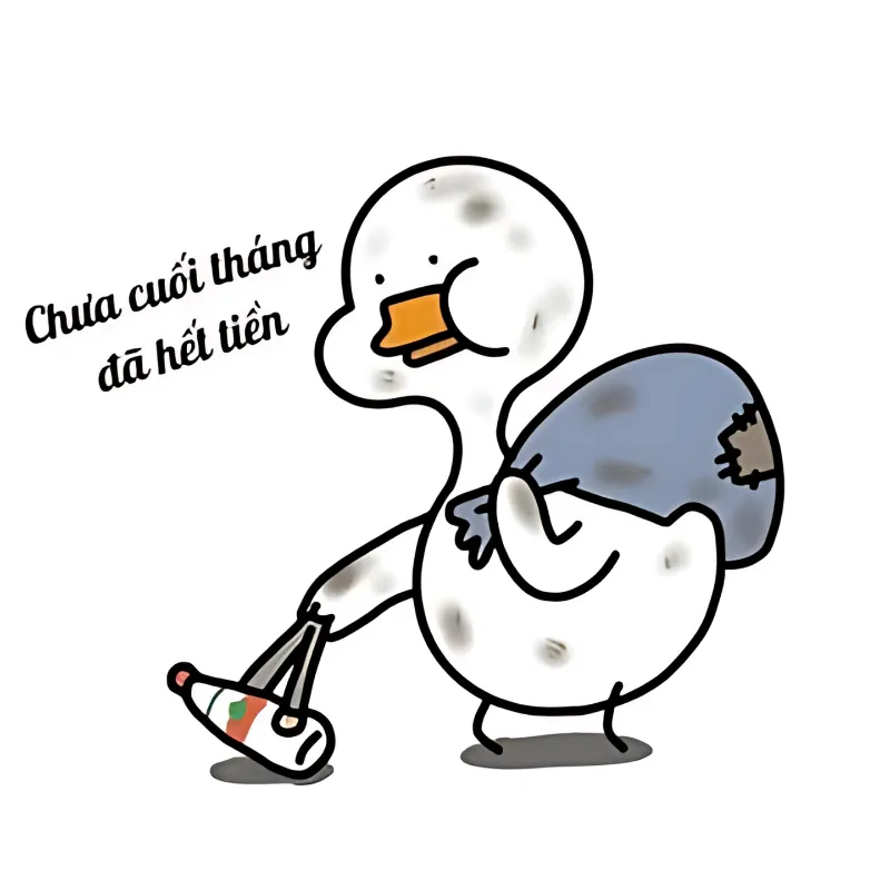 Mèo meme xin tiền cực kỳ dễ thương, thể hiện sự dễ thương trong hoàn cảnh 'không có gì'!