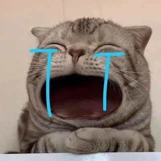 Meme mèo khóc cute là lựa chọn hoàn hảo để thể hiện tâm trạng buồn nhưng dễ thương