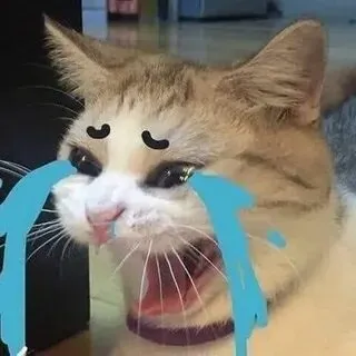 Khi tâm trạng rối bời hãy thử chia sẻ meme mèo khóc thét này
