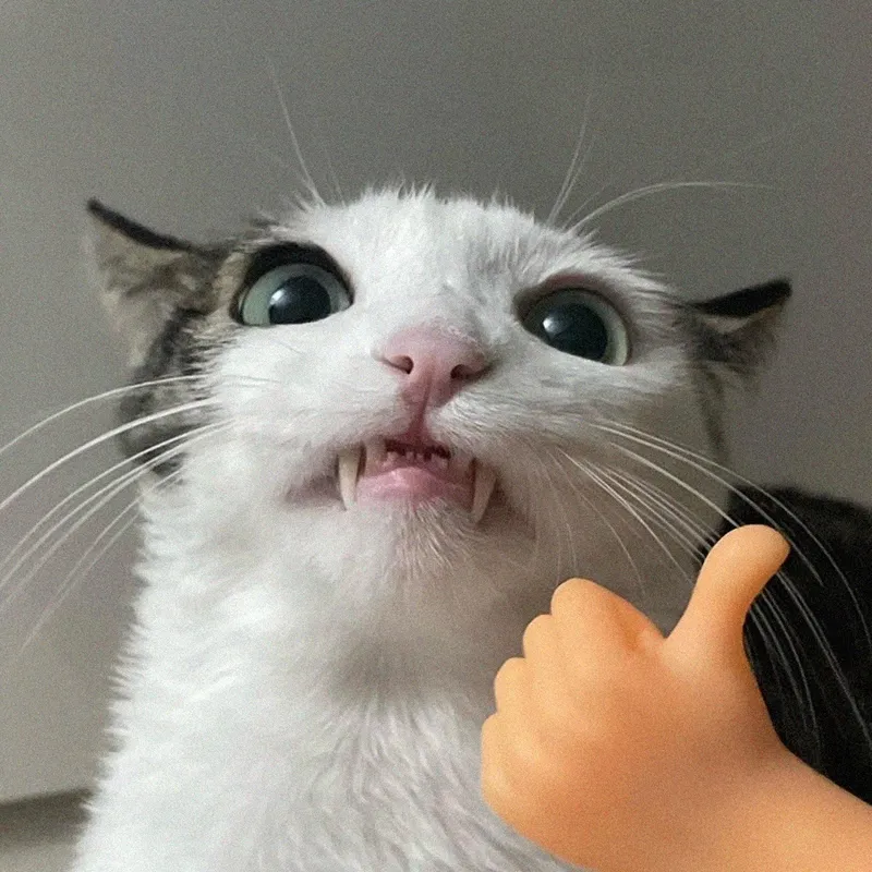 Đây là meme cực kỳ sáng tạo với cách thả like bằng chân, vô cùng hài hước và độc đáo!