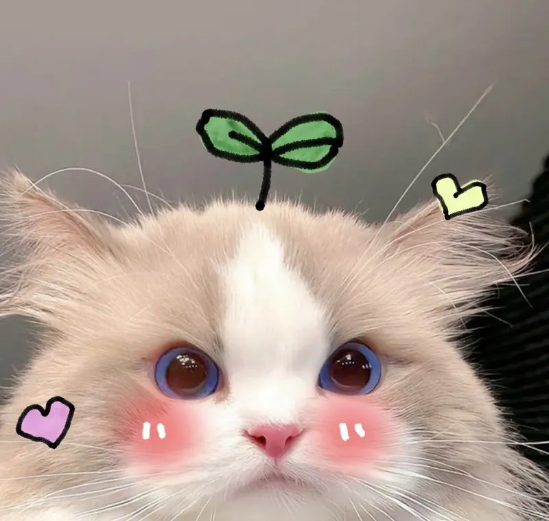 Meme này sẽ khiến bạn bật cười vì sự hài hước của nó.