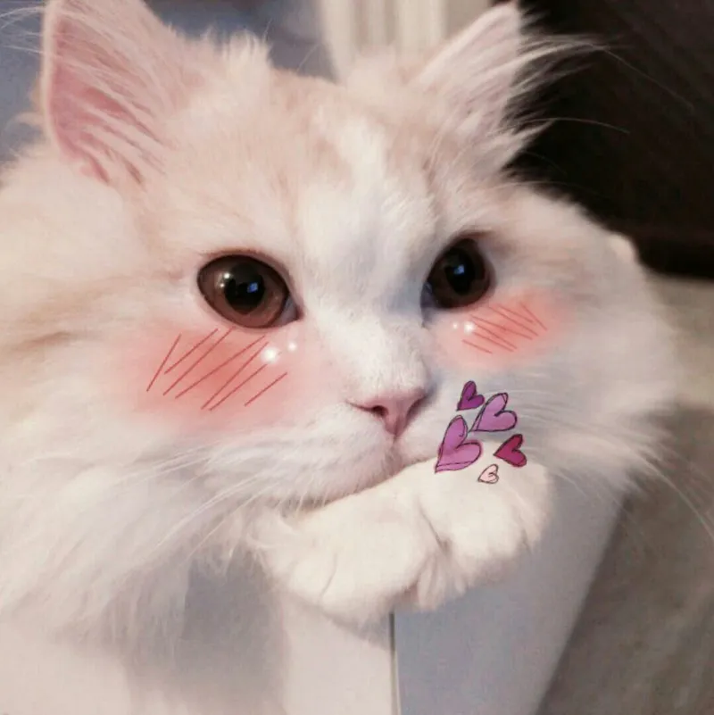 Meme ngại ngùng ngộ nghĩnh khiến bạn muốn chia sẻ ngay lập tức.