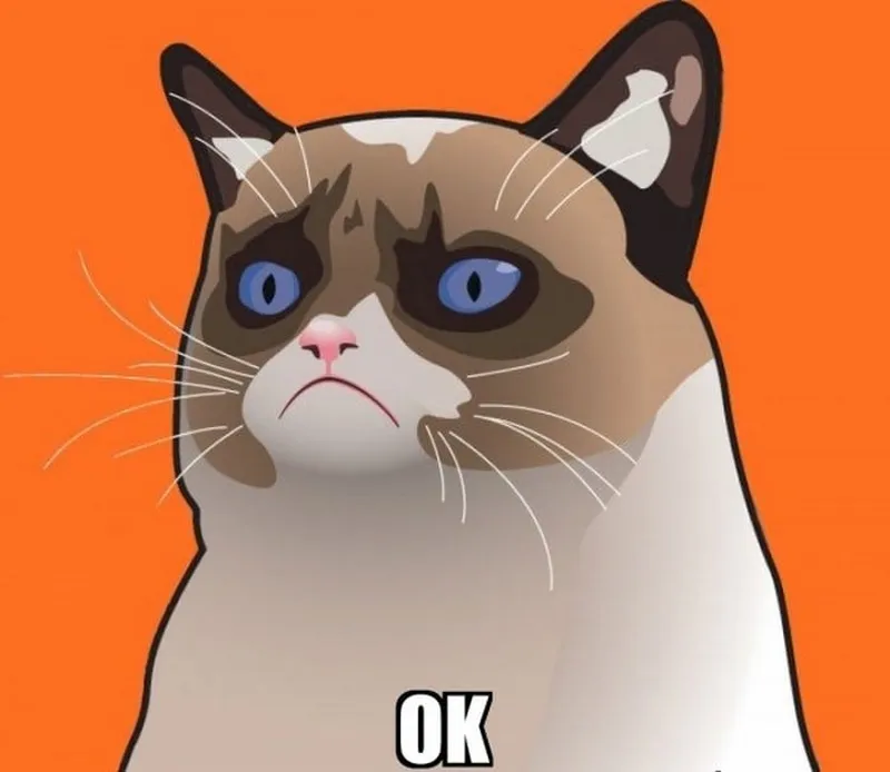 Những meme ok hài luôn mang đến những tràng cười sảng khoái.