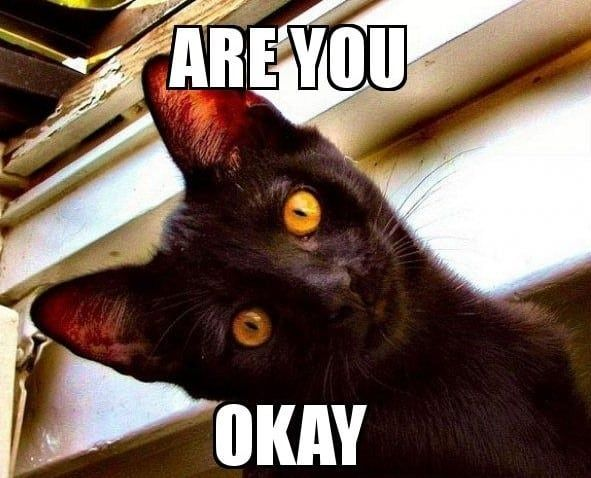 Meme ok fine giúp bạn bày tỏ cảm xúc hài hước một cách sáng tạo.