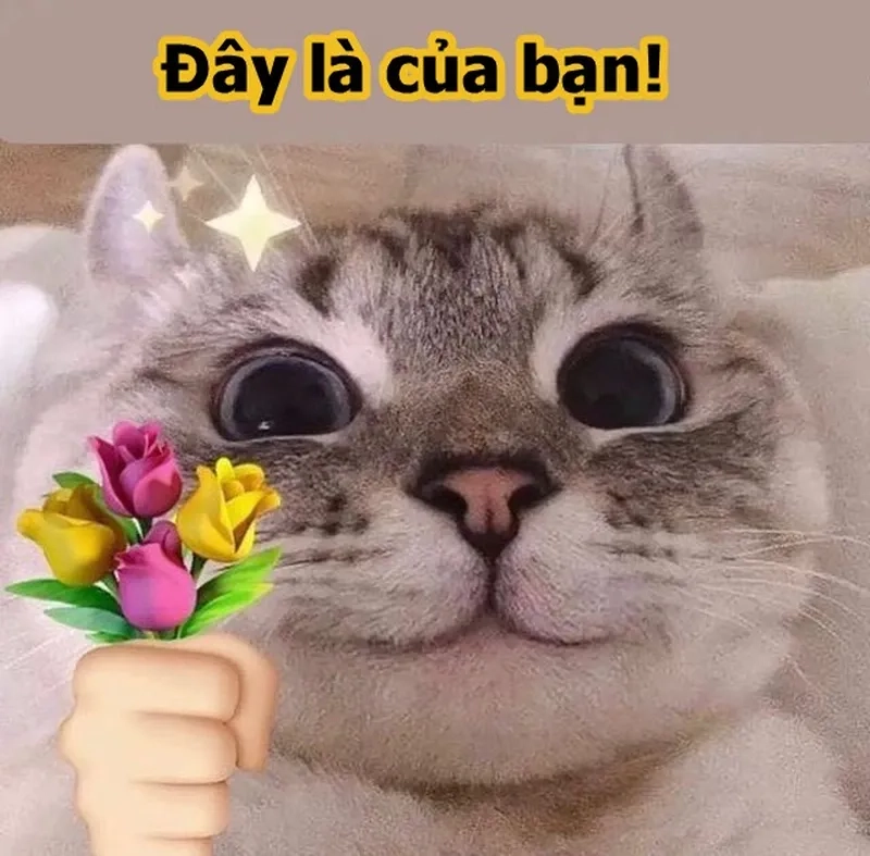 Những con mèo tặng hoa meme sẽ khiến ngày của bạn trở nên tươi sáng và đáng yêu hơn.