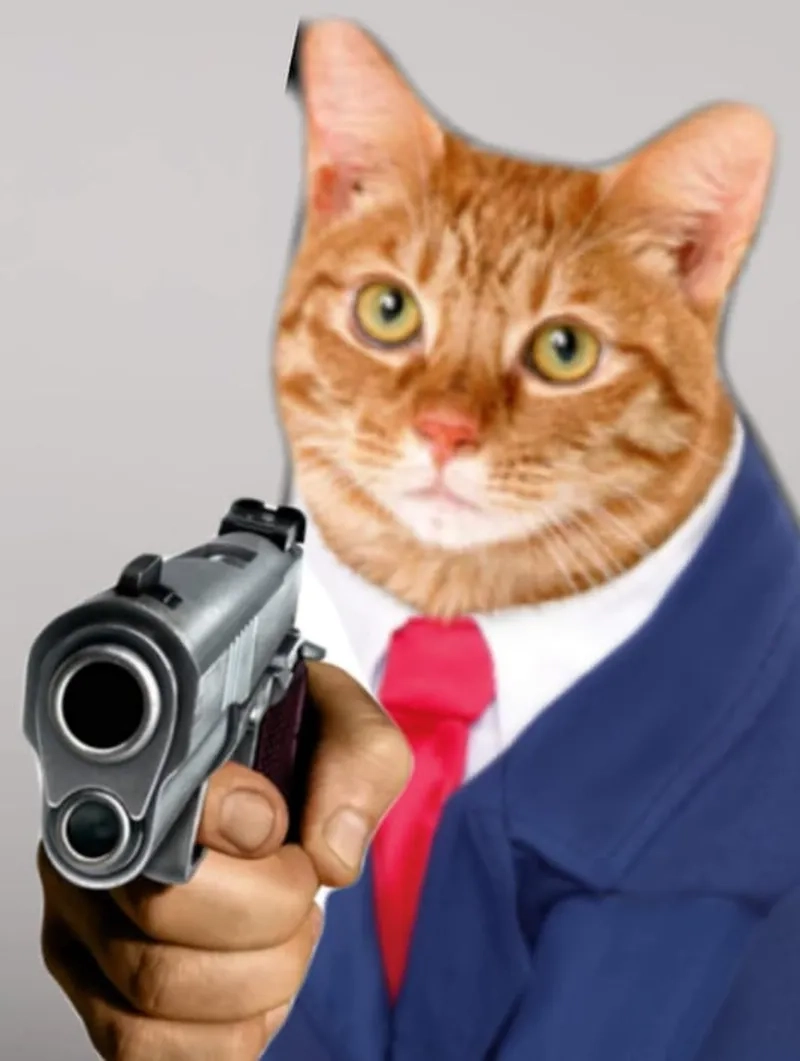 Bắn meme giúp bạn truyền tải cảm xúc mãnh liệt, đầy ấn tượng trong những câu chuyện ngắn.