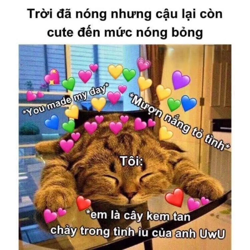 Meme sạc pin tình yêu mang lại cảm giác tươi mới và tràn đầy năng lượng cho trái tim bạn.