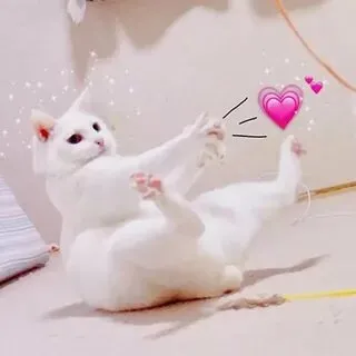 Sự đáng yêu vô đối của meme mèo hun sẽ làm trái tim bạn tan chảy