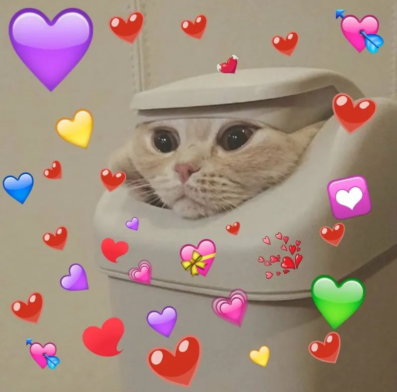 Meme tình yêu to bự lan tỏa cảm xúc yêu thương ngọt ngào và hài hước