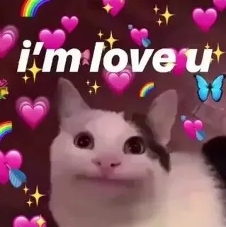 Hãy dùng meme này để gửi lời nhắn yêu thương đến nửa kia