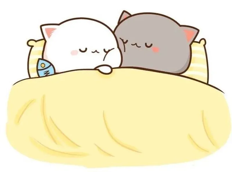 Meme ngủ cute mang lại cảm giác thư giãn và giúp bạn thư giãn trước khi vào giấc ngủ.