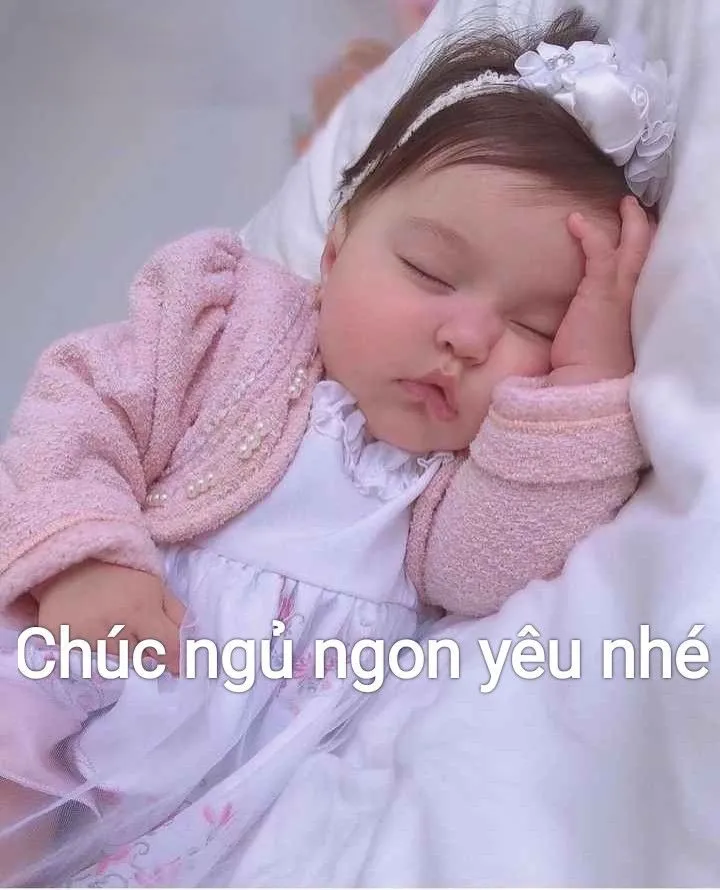 Mèo meme ngủ làm tan chảy trái tim mọi người bằng sự dễ thương khó cưỡng