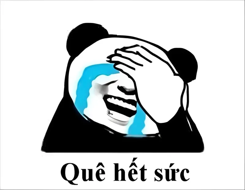 Không thể không nhận ra sự chân thật và hài hước trong meme quê là quê này!