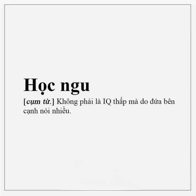 Hài hước ngu dốt meme khiến bạn cười không ngừng với những tình huống 