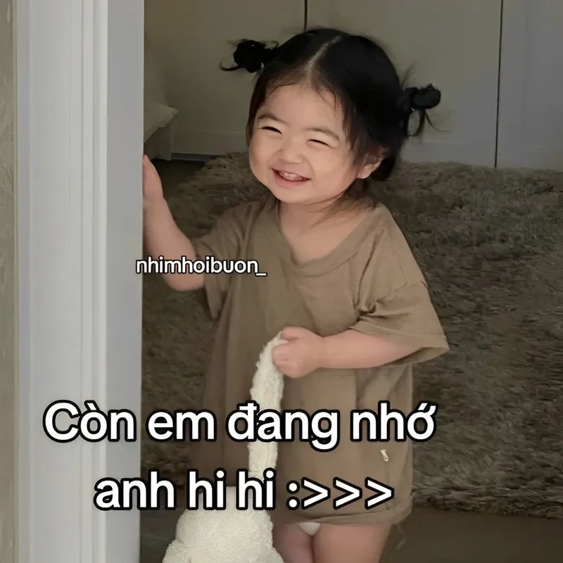 Meme mèo yêu thể hiện tình cảm với sự đáng yêu và thú vị.
