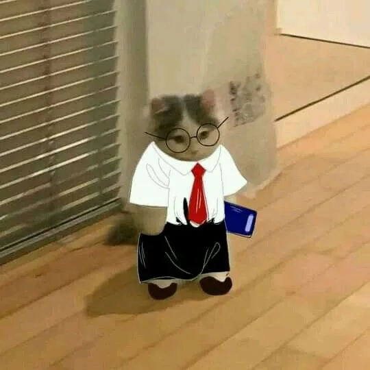 Quầng thâm mắt meme là lựa chọn thú vị để troll bạn bè về cơn buồn ngủ