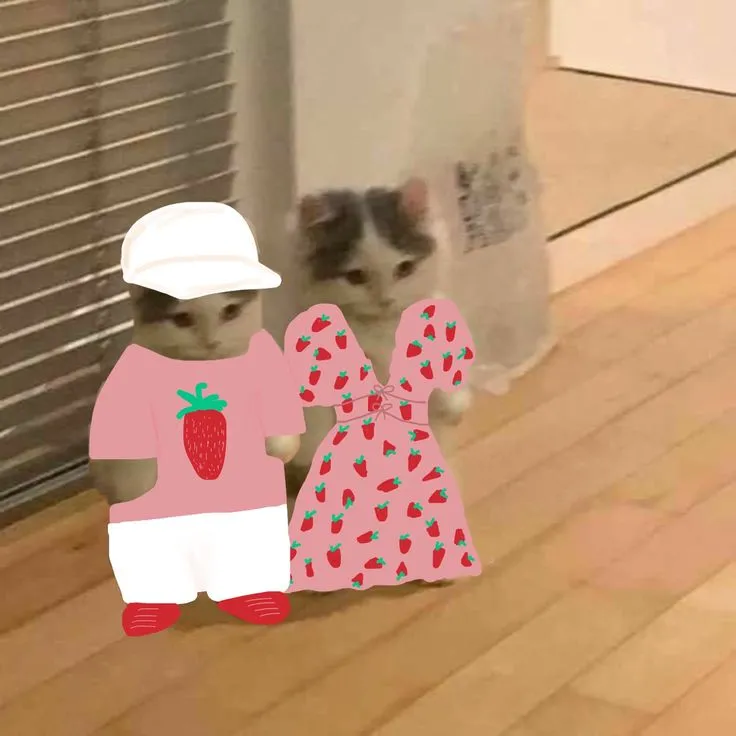 Tụt quần xin lỗi meme làm người xem bật cười với cách xin lỗi lầy lội