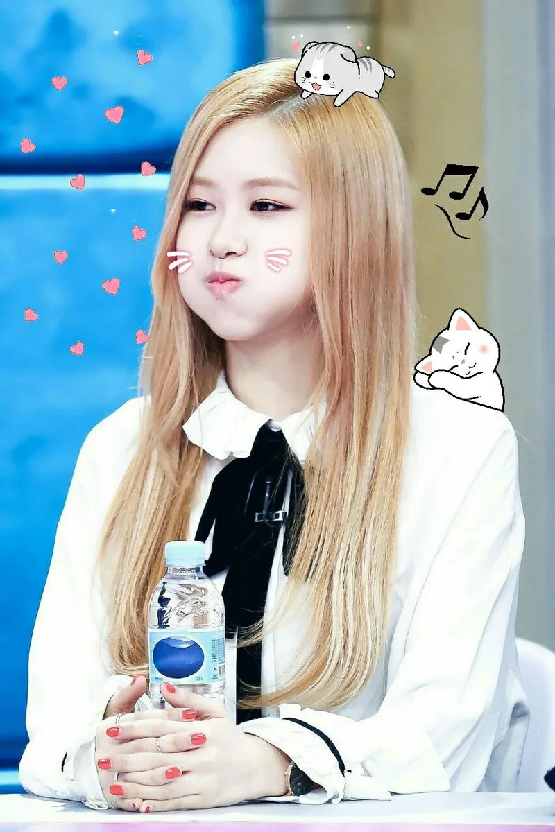 Ảnh Rose meme dễ thương và hài hước sẽ khiến bạn muốn chia sẻ ngay với bạn bè!