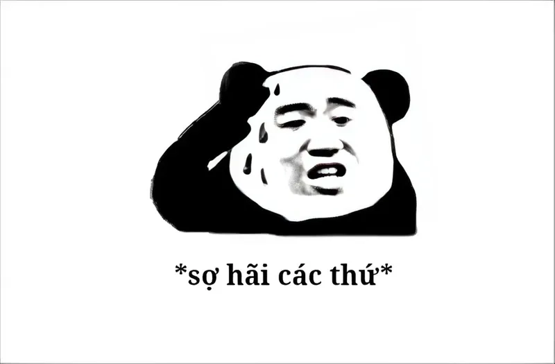 Một tuyên bố dũng cảm nhưng đầy hài hước qua meme không sợ.