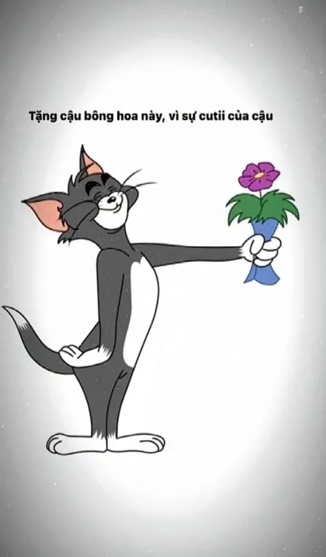 Meme mèo tặng bông mang đến sự dễ thương khó cưỡng và đầy ý nghĩa