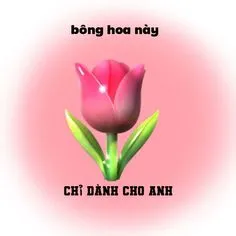 Tặng em hoa meme là cách ngộ nghĩnh để bày tỏ tình cảm đầy hài hước