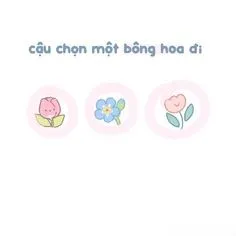 Meme tặng hoa hồng là lựa chọn hoàn hảo để lan tỏa sự lãng mạn và hài hước