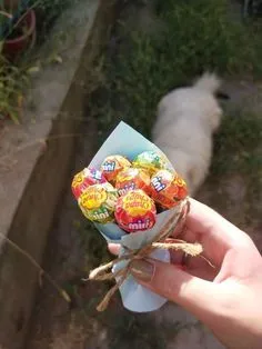 Hài hước và ngộ nghĩnh, meme cho kẹo chắc chắn sẽ làm bạn thích thú
