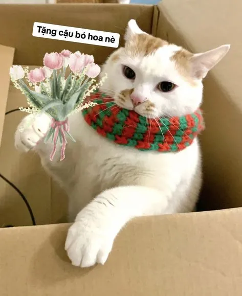 Tặng hoa ngày 20/10 thêm phần thú vị với meme siêu lầy lội này