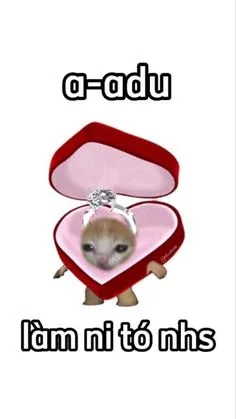 Tặng hoa ngày 8-3 thêm phần đáng yêu với loạt meme sáng tạo