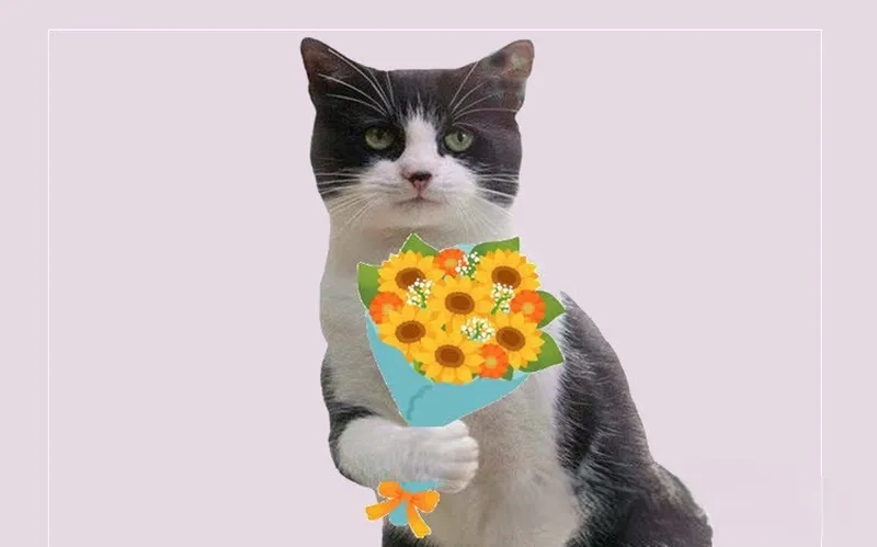 Gửi tặng hoa qua meme là cách tuyệt vời để chia sẻ tình yêu và sự ngưỡng mộ đến người bạn yêu.